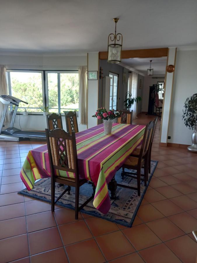 비아나도카스텔로 Casa Da Bela Vista 빌라 외부 사진